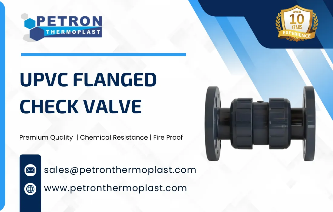 UPVC Flanged Check Valve Graphics