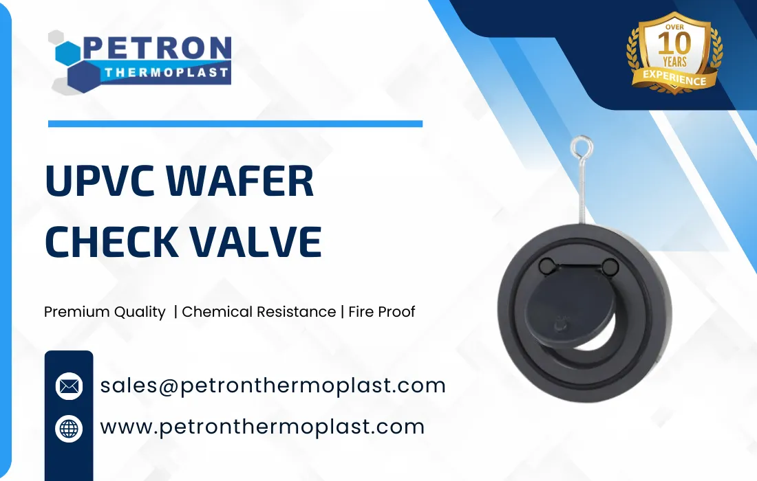 UPVC Wafer Check Valve Graphics