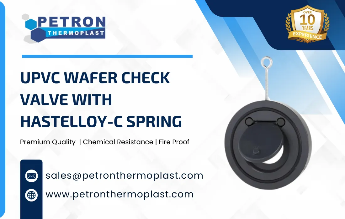 UPVC Wafer Check Valve with Hastelloy-C Spring Graphics