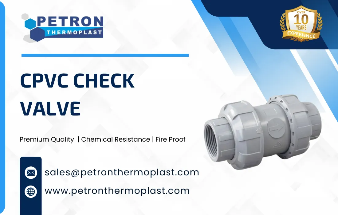 CPVC Check Valve Graphics