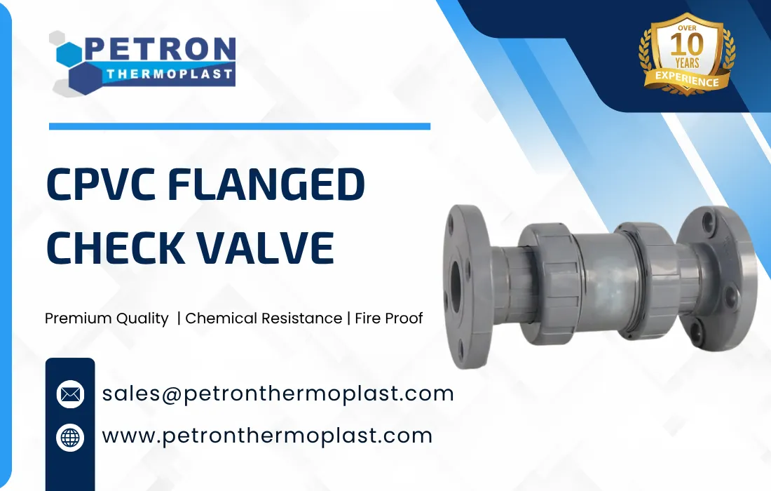 CPVC Flanged Check Valve Graphics