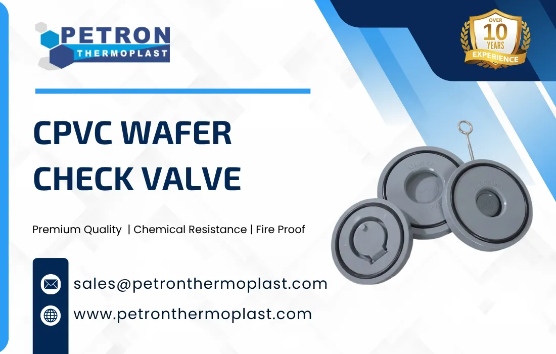 CPVC Wafer Check Valve Graphics