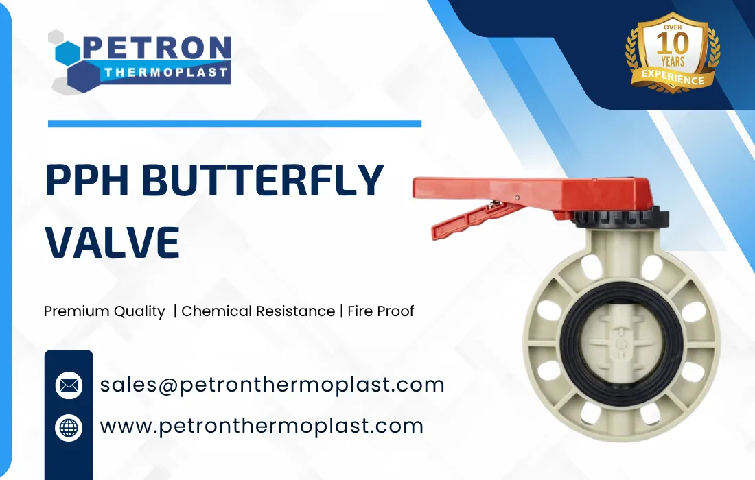 PPH Butterfly Valve Graphics