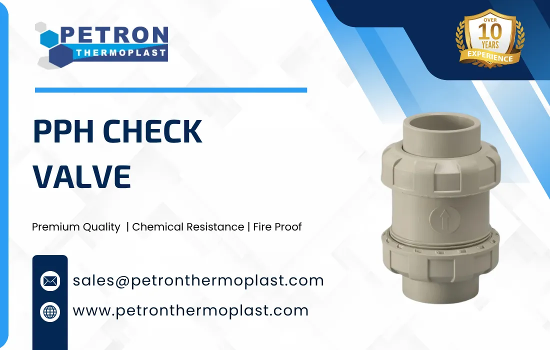 PPH Check Valve Graphics