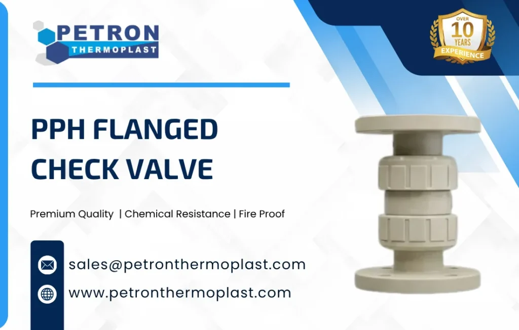 PPH Flanged Check Valve Graphics
