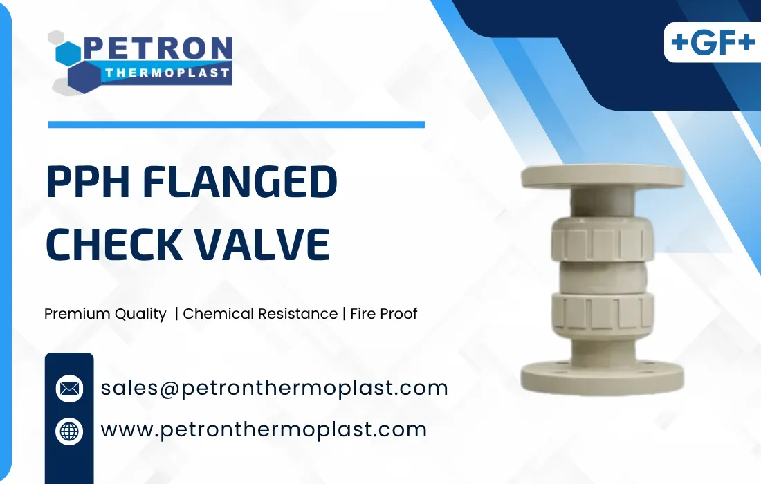 PPH Flanged Check Valve Graphics