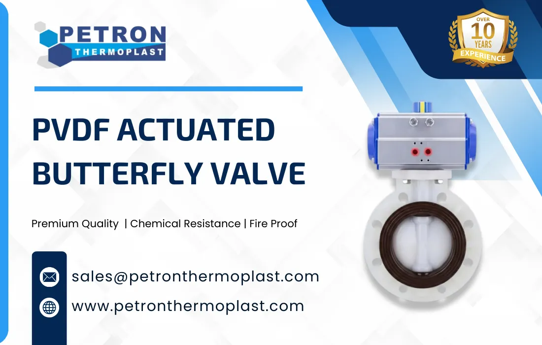 PVDF Actuated Butterfly Valve Graphics