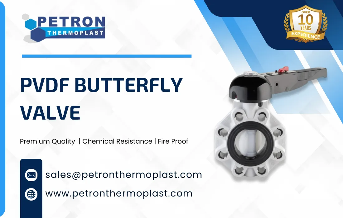 PVDF Butterfly Valve Graphics