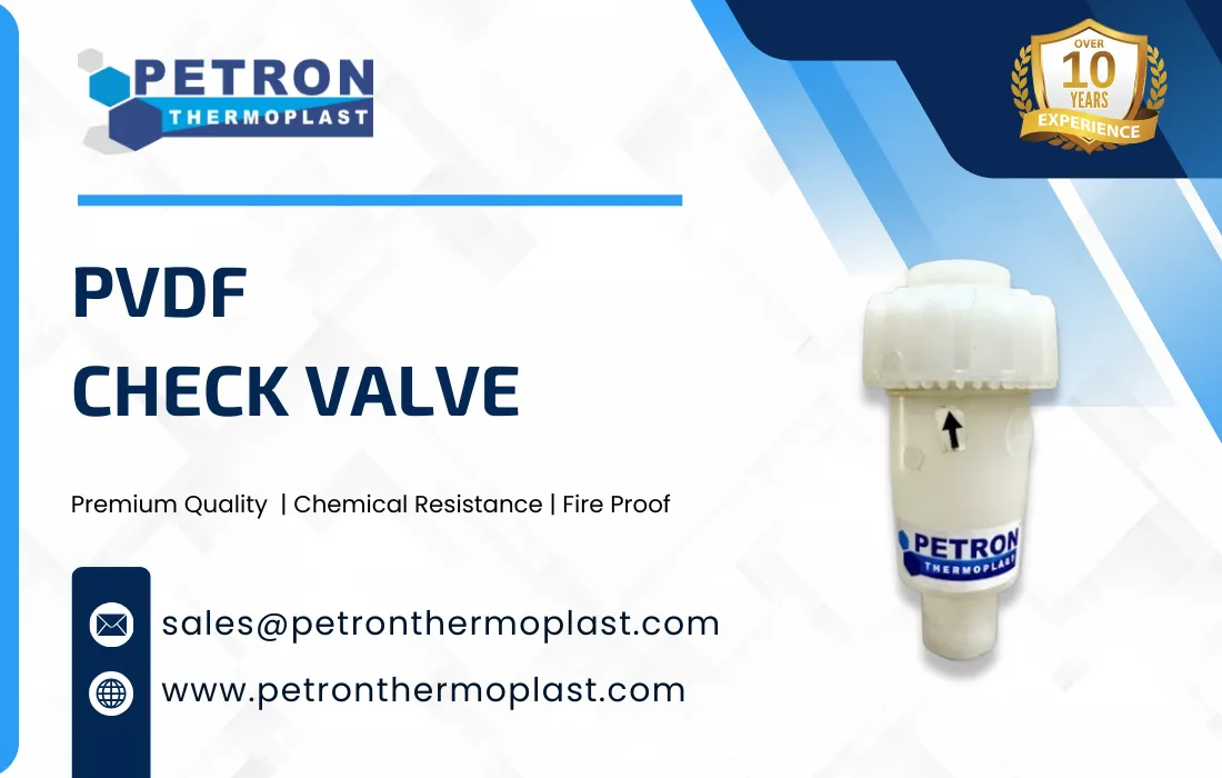 PVDF Check Valve Graphics
