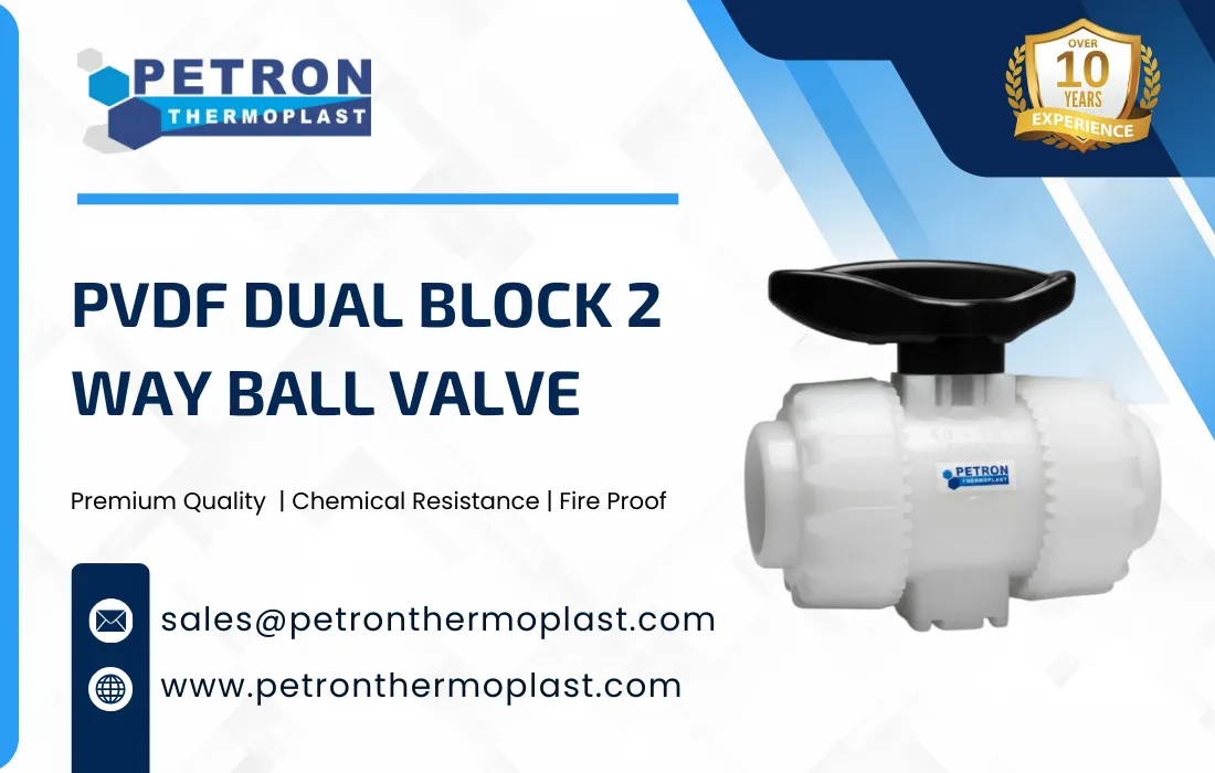 PVDF Dual Block 2 Way Ball Valve Graphics