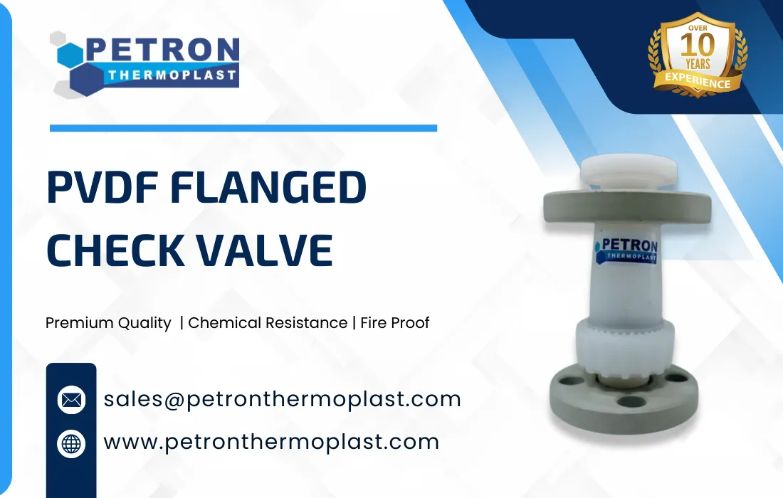 PVDF Flanged Check Valve Graphics