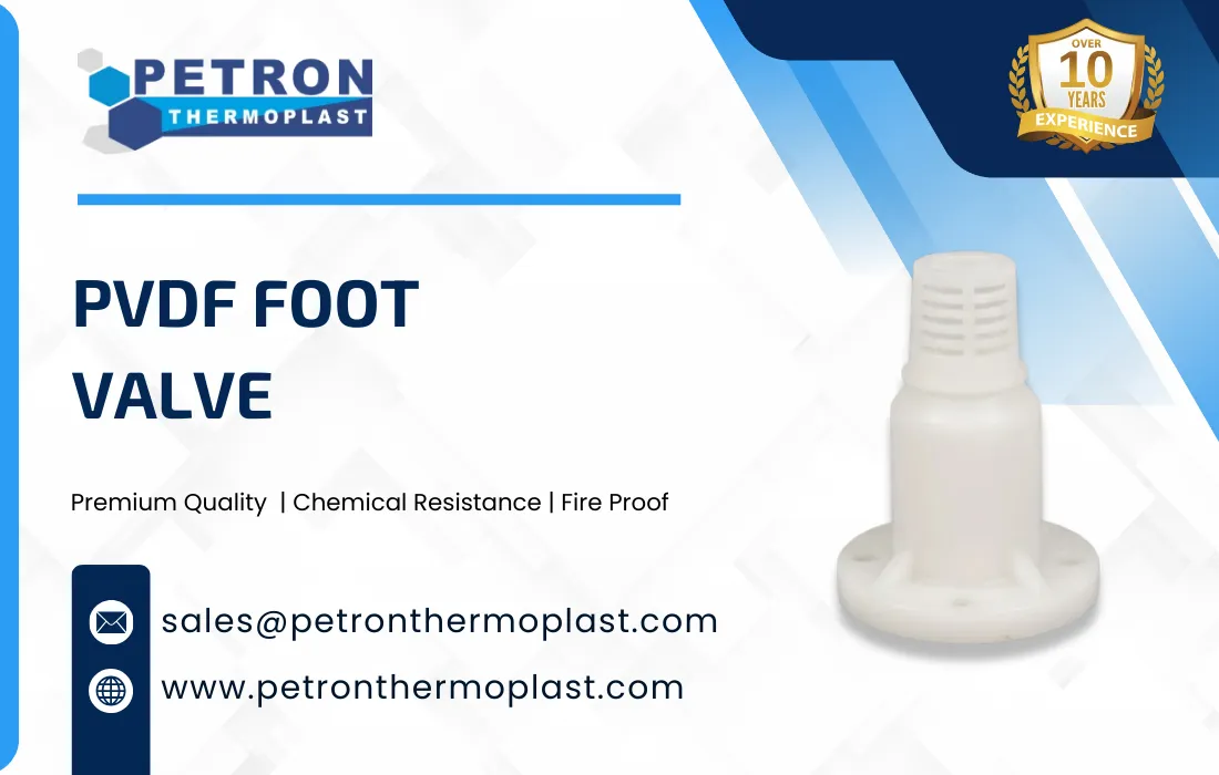 PVDF Foot Valve Graphics