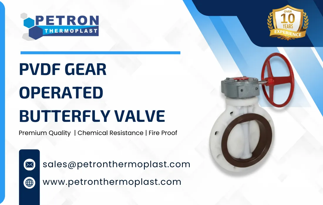 PVDF Gear Operated Butterfly Valve Graphics