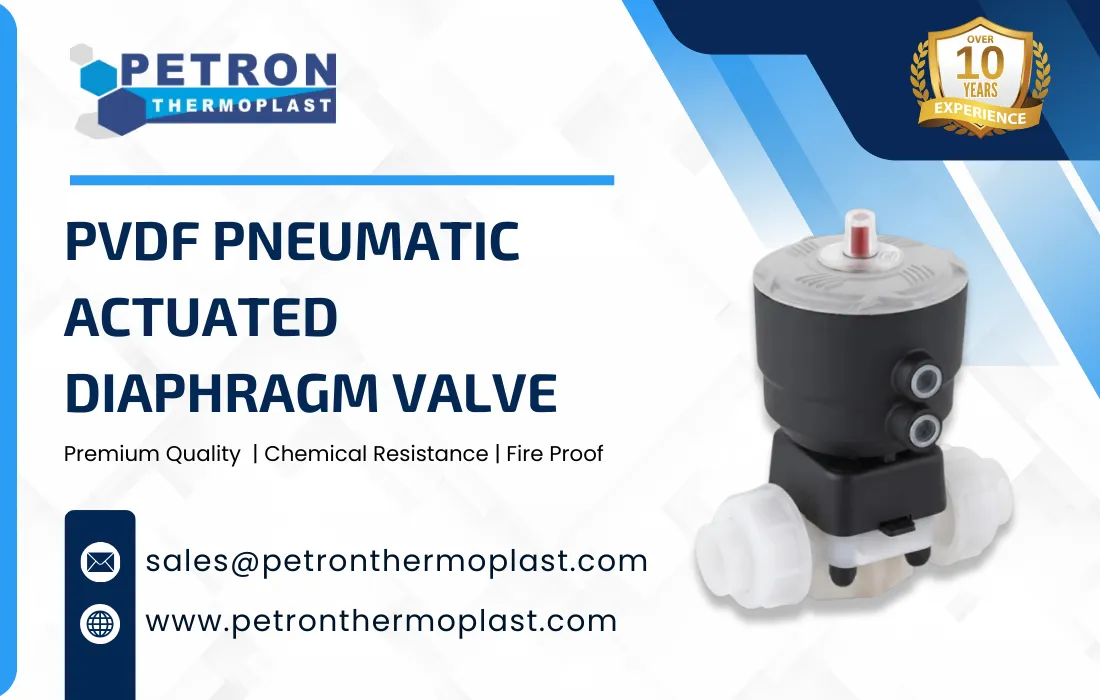 PVDF Pneumatic Actuated Diaphragm Valve Graphics