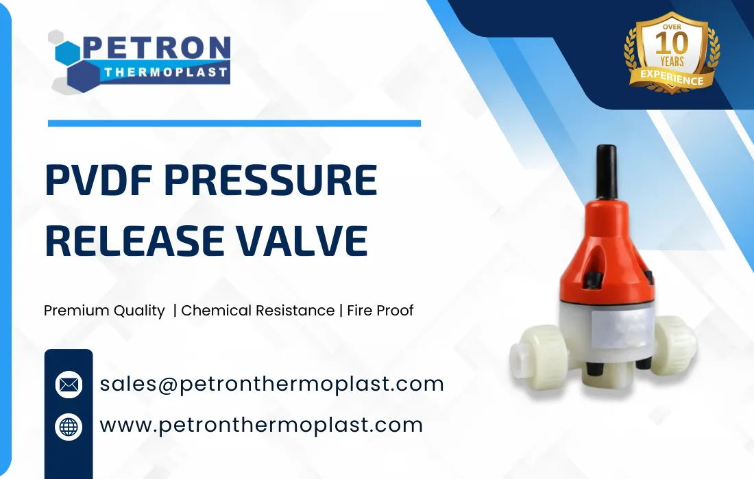 PVDF Pressure Release Valve Graphics