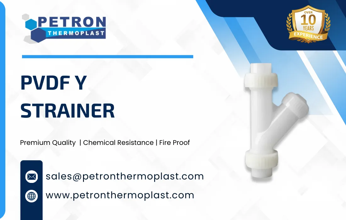 PVDF Y Strainer Graphics