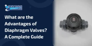 Read more about the article What are the Advantages of Diaphragm Valves? A Complete Guide