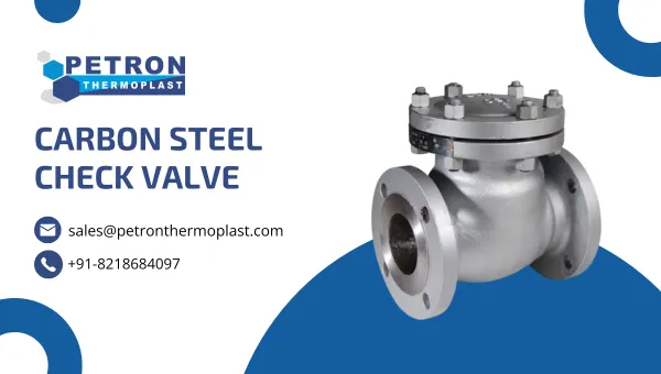 Carbon Steel Check Valve Graphics