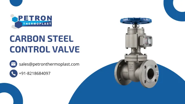Carbon Steel Control Valve Graphics