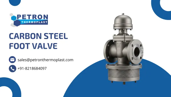 Carbon Steel Foot Valve Graphics