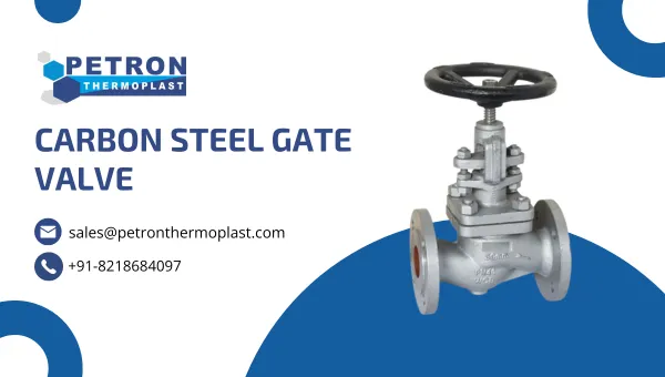 Carbon Steel Gate Valve Graphics