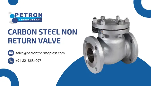Carbon Steel Non Return Valve Graphics