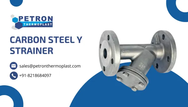 Carbon Steel Y Strainer Graphics