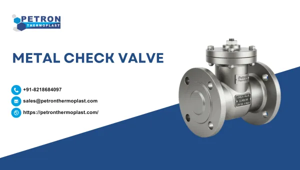 Metal Check Valve graphics