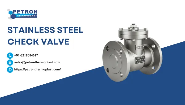Stainless Steel Check Valve Graphics