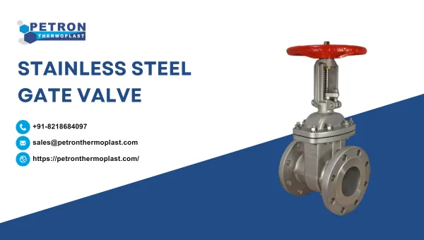 Stainless Steel Gate Valve Graphics