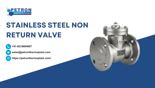 Stainless Steel Non Return Valve Graphics