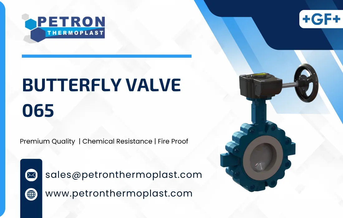 Butterfly Valve 065 Graphics