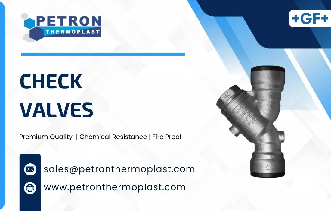 Check Valves Graphics