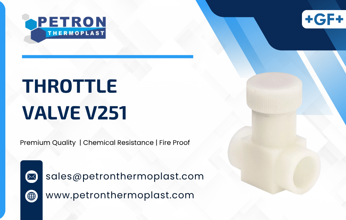Throttle Valve V251 Graphics