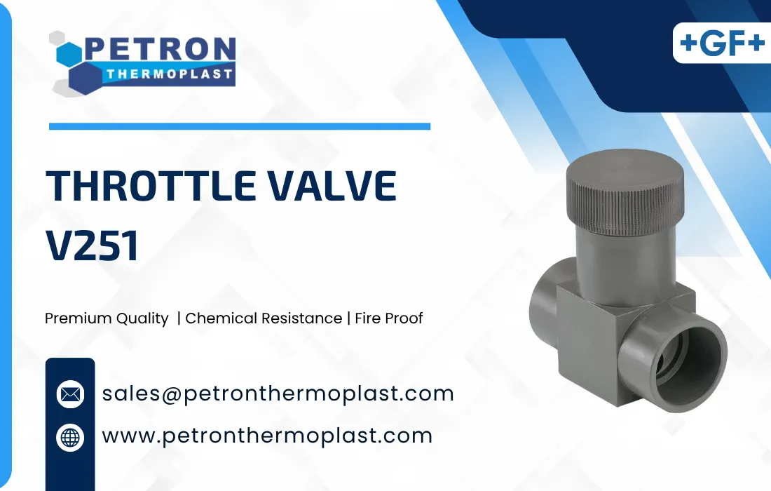 Throttle Valve V251 Graphics