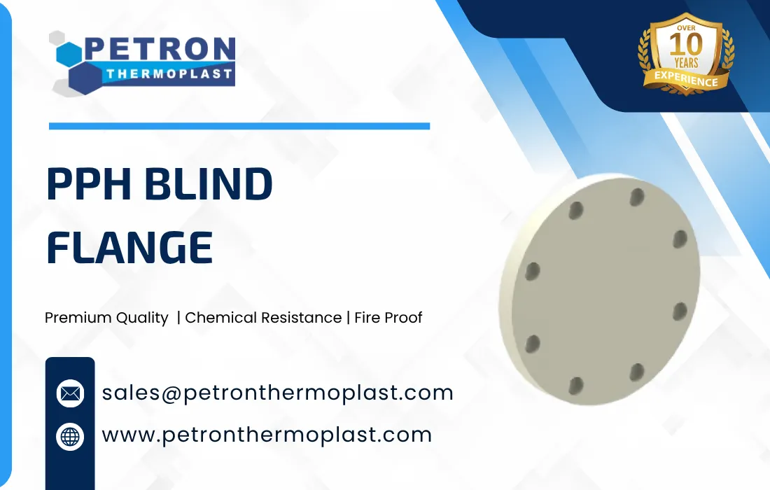 PPH Blind Flange Graphics