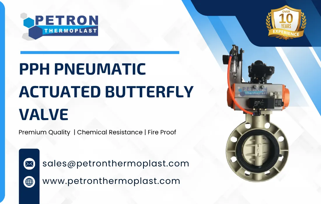 PPH Pneumatic Actuated Butterfly Valve Graphics