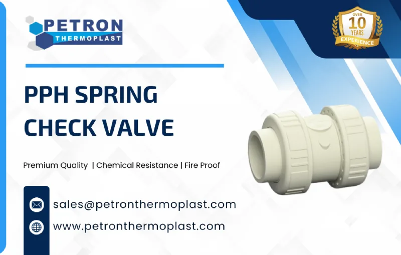 PPH Spring Check Valve Graphics