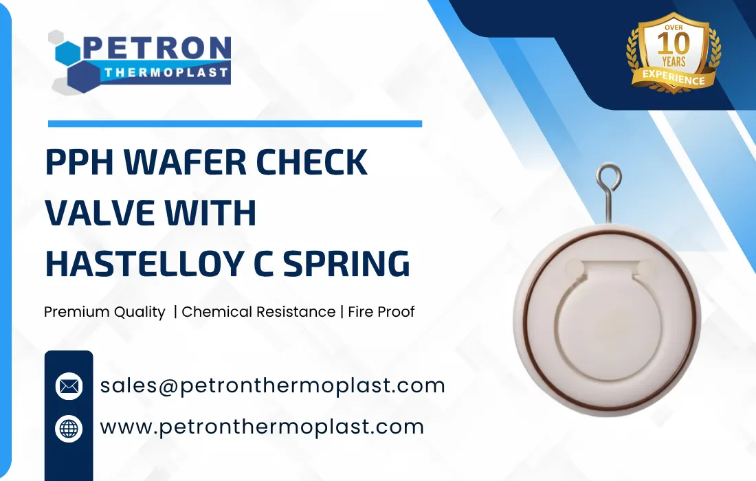 PPH Wafer Check Valve with Hastelloy C Spring Graphics