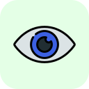 eye